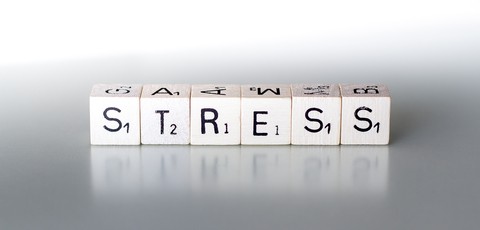 stress business owner