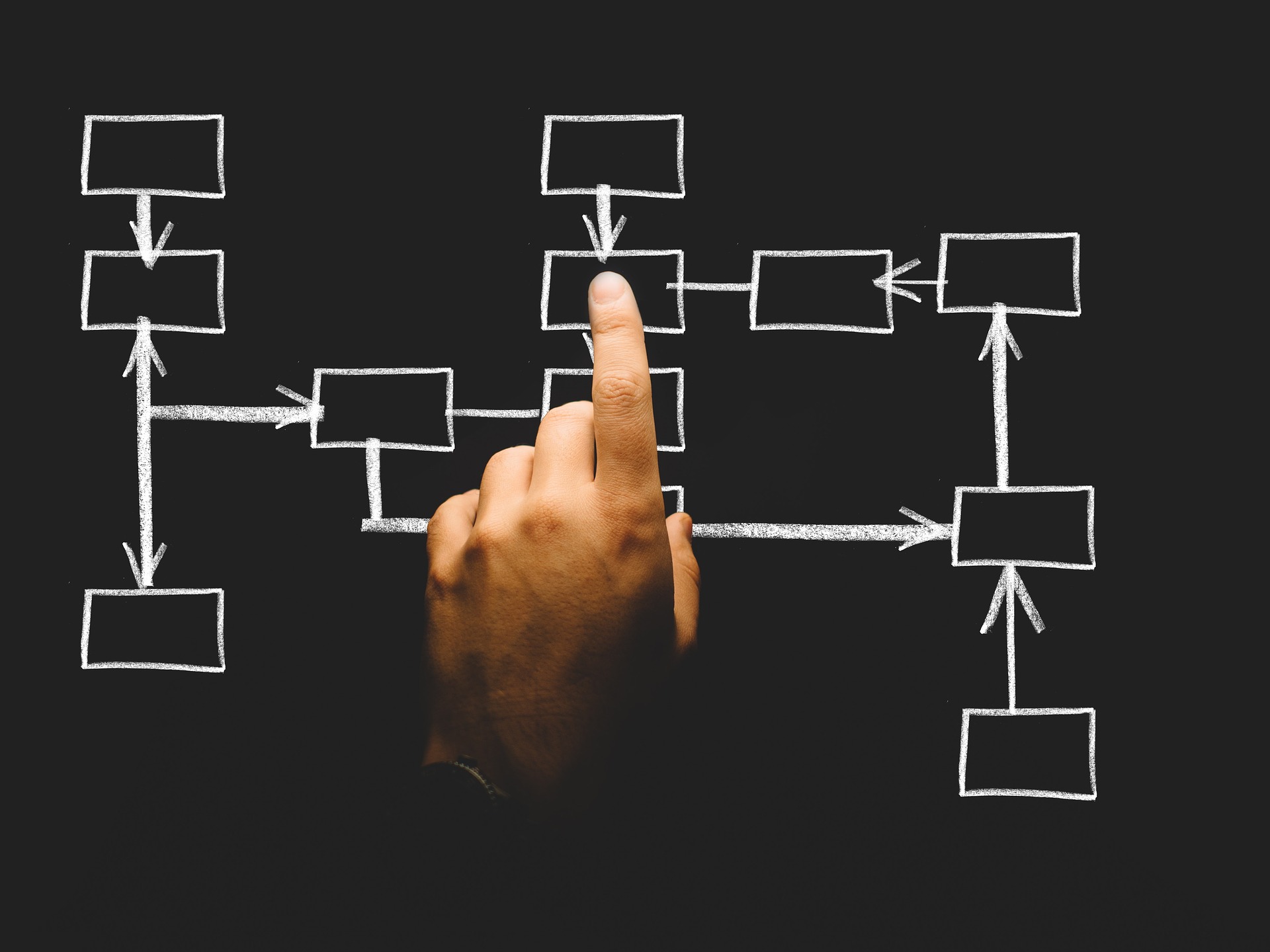 organisation types-of-business