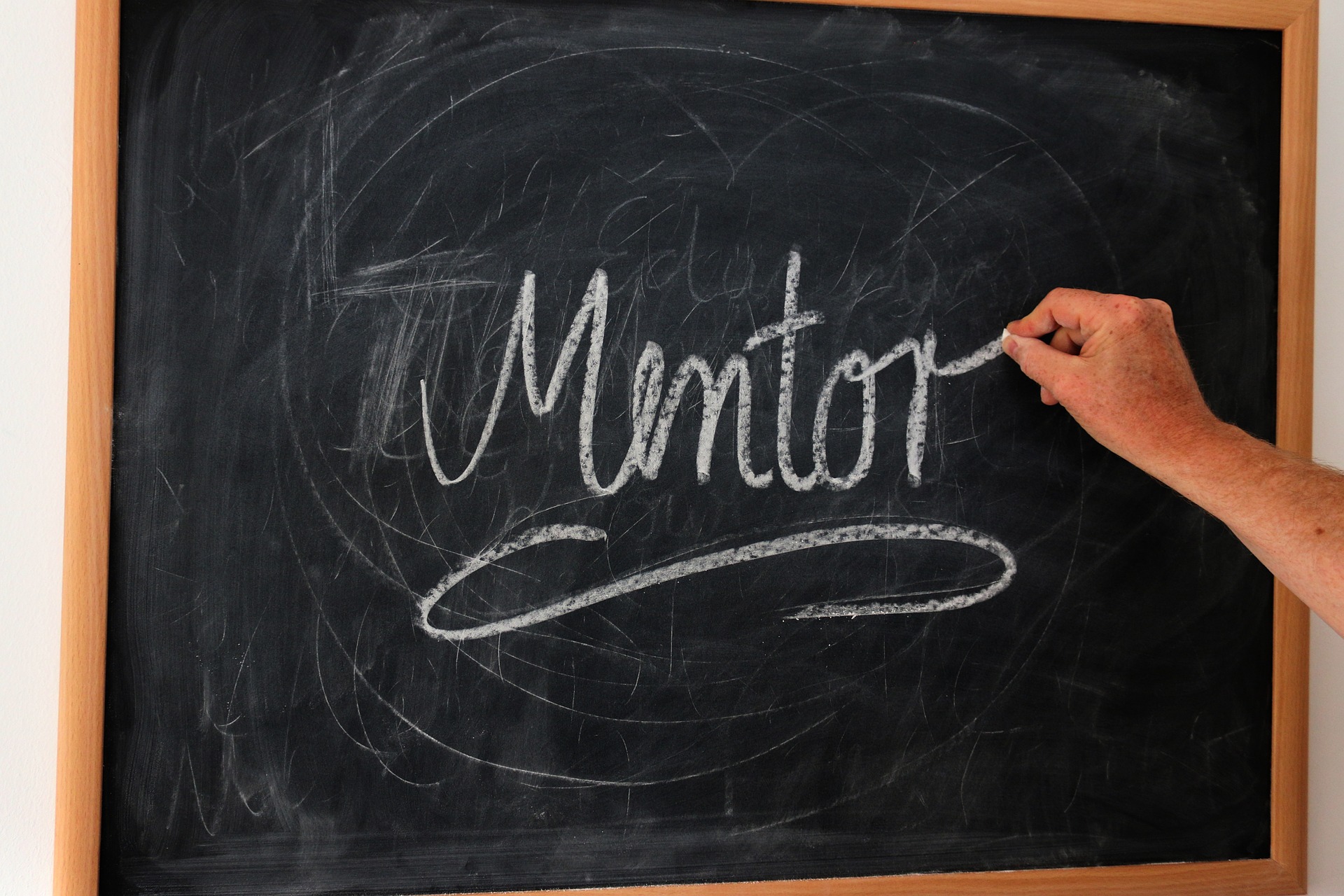 mentor as a small business owner 