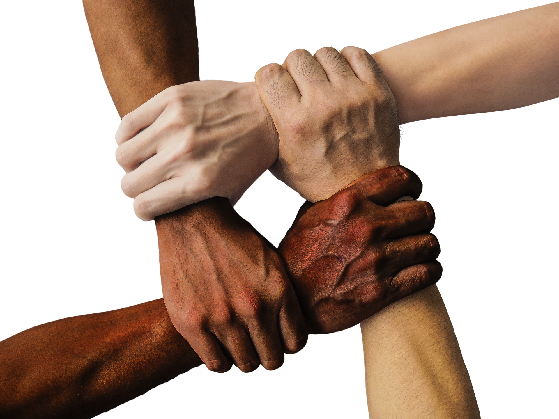 promote diversity - different skin toned hands holding each other 