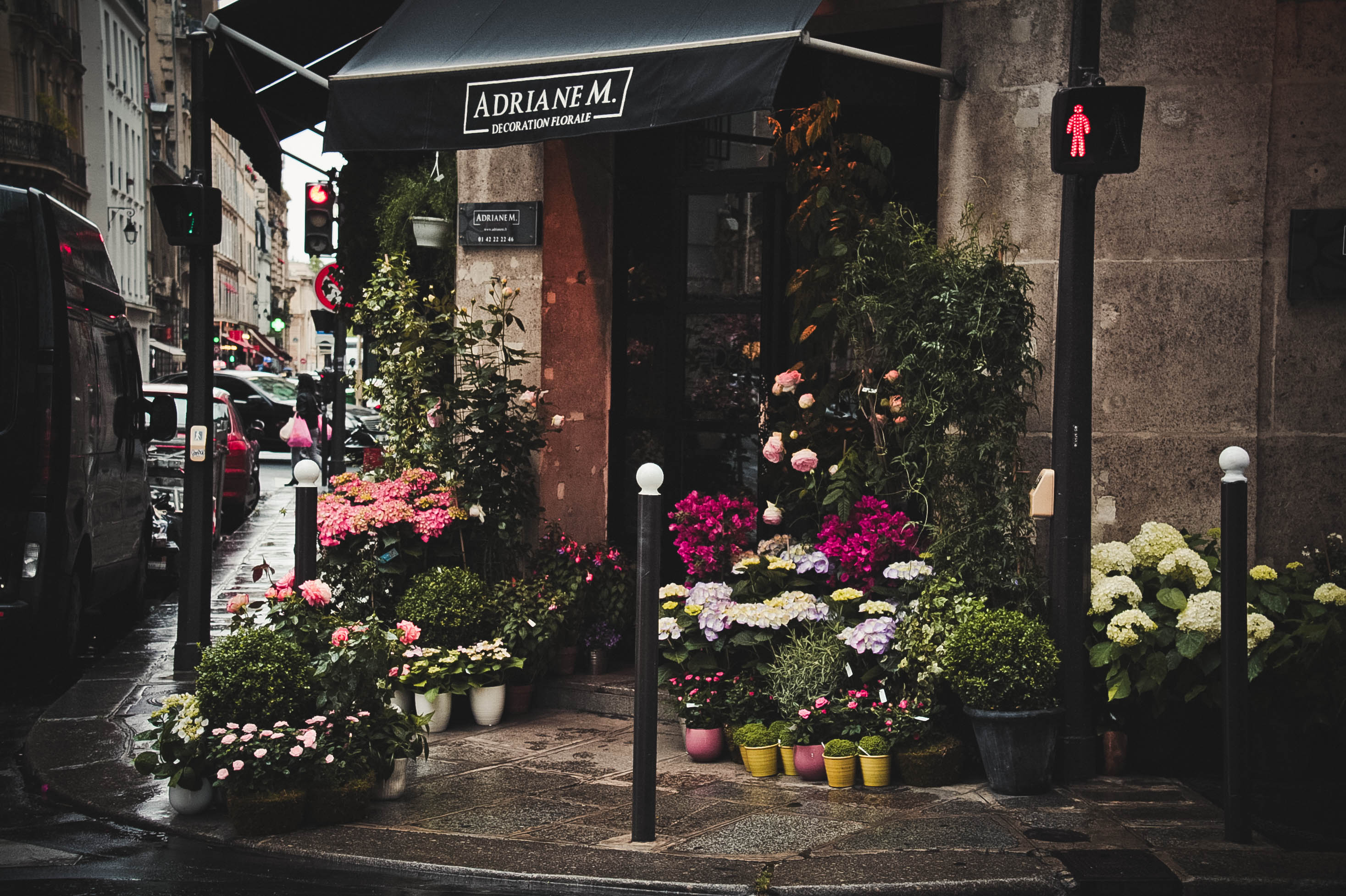 Florist business - Flower shop on the corner with pink flowers outside 