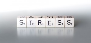 stress business owner