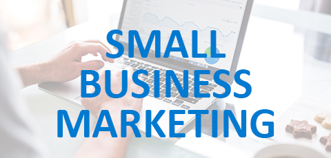 Guides on Small Business Marketing - Company Bug