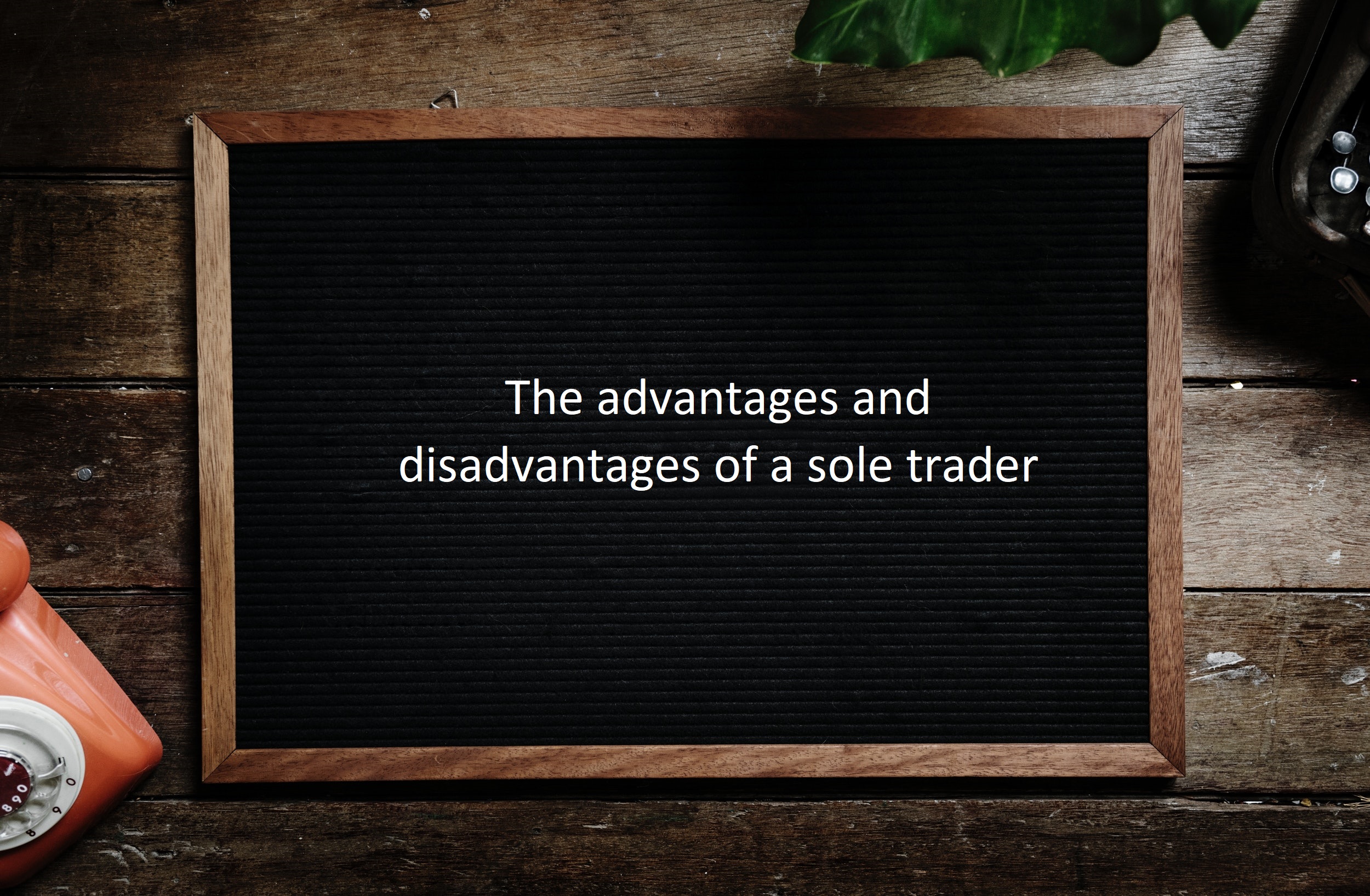 Sole trader advantages and disadvantages