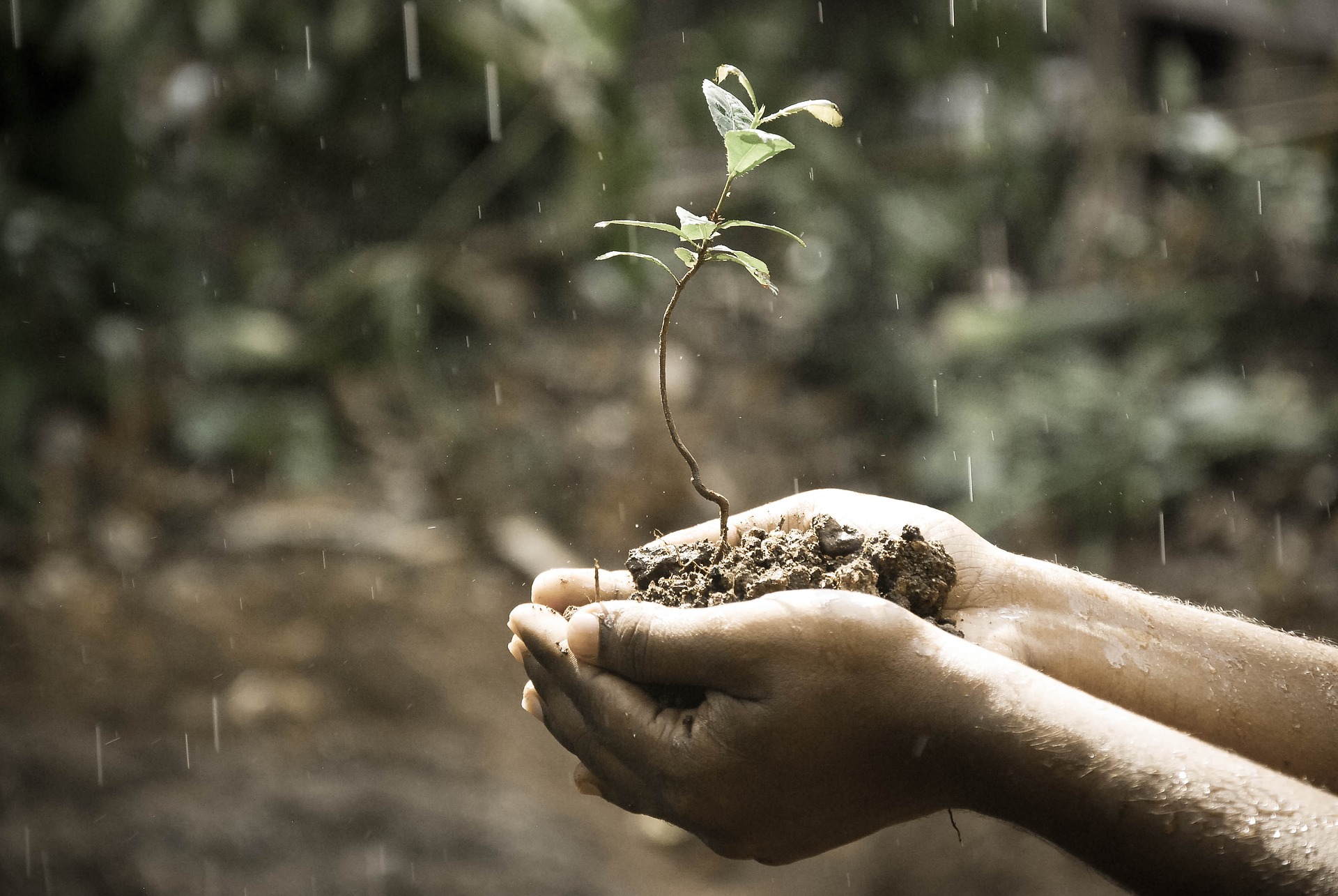 grow your small business through marketing