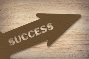 differences between sole trader, partnership, Ltd and PLC