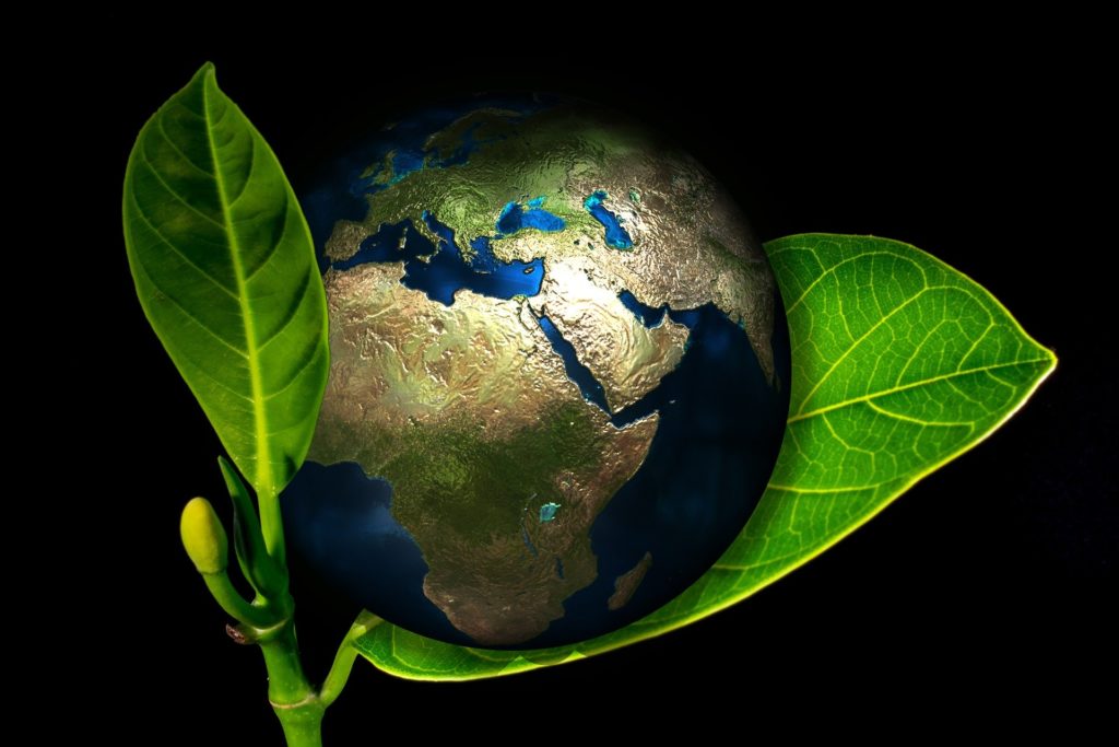 Tips for eco-friendly businesses in 2020